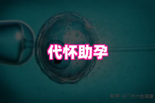 nub孕网 2