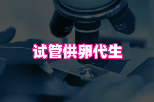 nub孕网 3