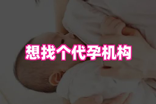 nub孕网 4